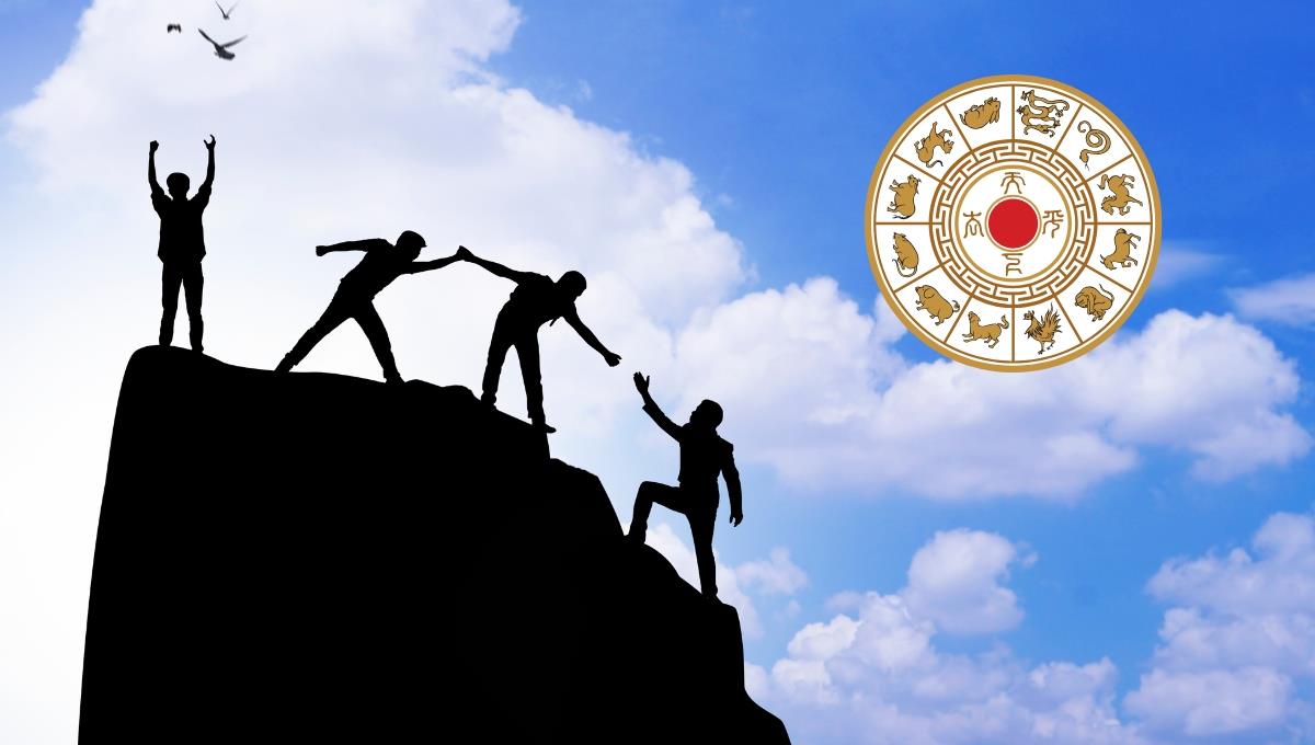 Terra Networks